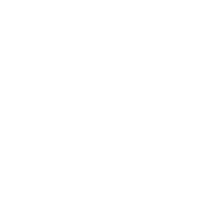 Kasteel Diepensteyn